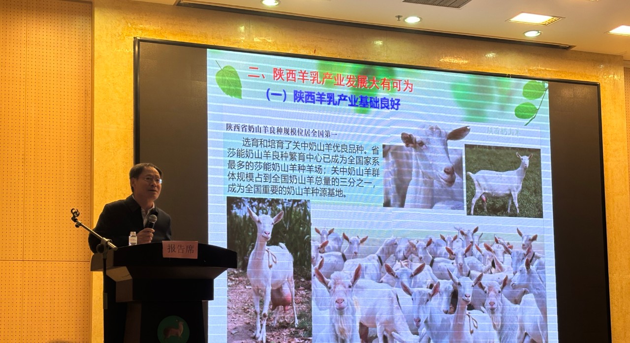 微信圖片_20241028170158.jpg